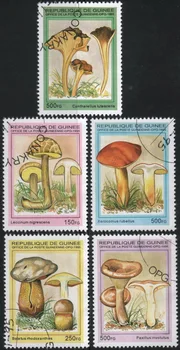 5kusů/Set Guinea Poštovní Známky 1995 Hub Používá Post Označené Poštovní Známky pro Sběr