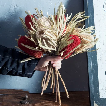 Přírodní Africe Banksia Sušených Květin, Luxusní Interiér Dům Decor Domácí Dekoraci Fotografie Rekvizity Severské Umění Tabulce Accessor
